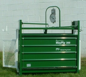 mechanical market hog scale enclosed weighing platform